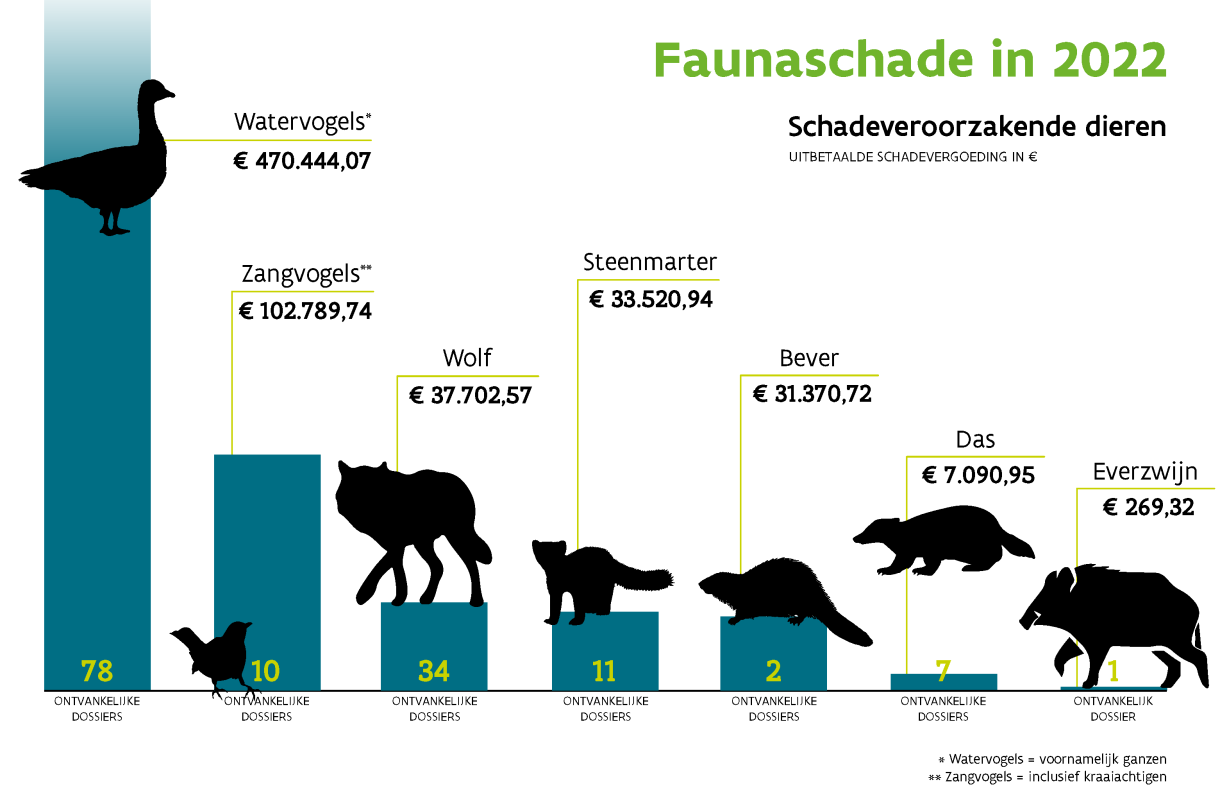 Infografiek